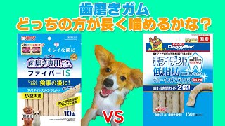 歯磨きガムどっちの方が長く噛めるかな？【パピヨン】
