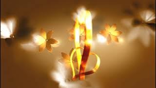 Template Wedding Invitation Blank Video Background Free | Undangan Pernikahan Kosongan