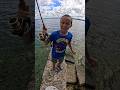 😱🎣🐠 FISH GONE🥹😎🇵🇼 #fishing #micronesia #palau