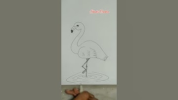 Easy drawing flamingo / doodle easy bird #shorts #draw