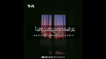 Surah Al-Mu'minun -  سورة المؤمنون  - Abdul Rahman Mossad عبدالرحمن مسعد - The Holy Records