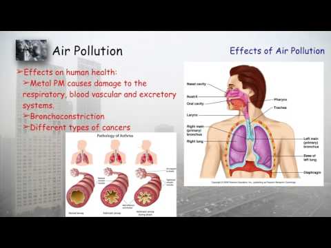 Air Pollution - Environmental Studies