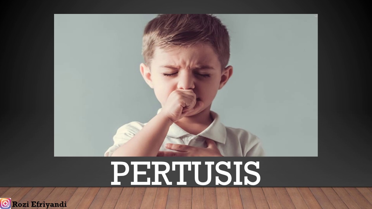 Batuk tidak kunjung sembuh, apakah Pertusis.??? 