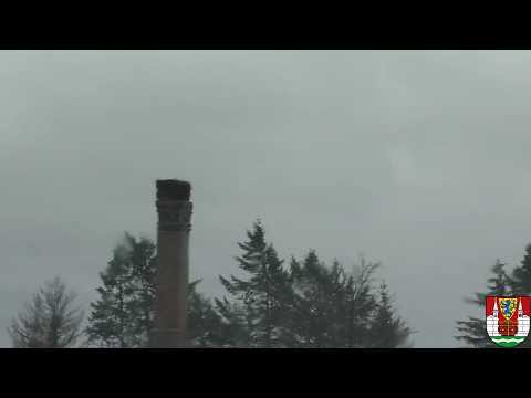 Die Storchenkamera in