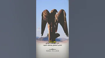 شيلات صقر 