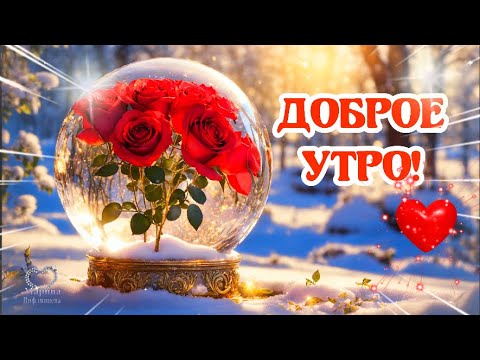 ДОБРОЕ УТРО!🌹 ПУСТЬ УТРО БУДЕТ НЕЖНЫМ, 🌹 А ДЕНЬ - ПРЕКРАСНЫМ!🌹💌Красивое пожелание доброго утра.❄❄❄❄❄