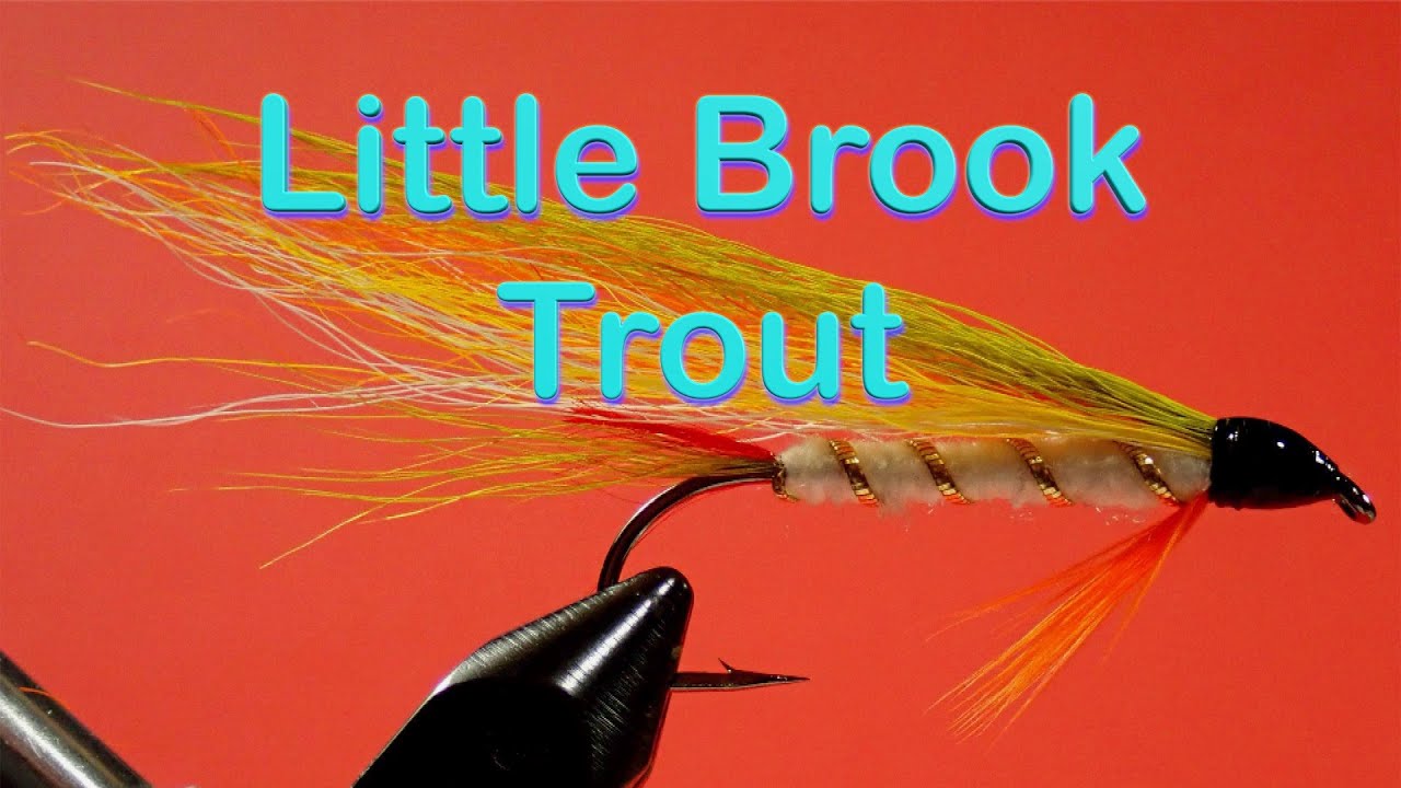 The Beginner's Fly Tying Series: Easy Streamer Series - the Little Brook  Trout 
