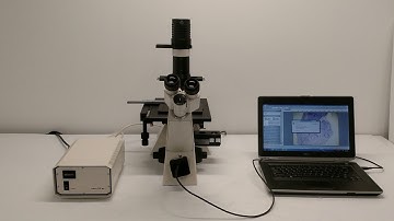 Zeiss Axiovert 40 CFL Inverted Microscope Fluorescence Phase Contrast [BOSTONIND] - 15498