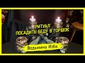 РИТУАЛ ПОСАДИТЬ БЕДУ В ГОРШОК 🍯. ДЛЯ ВСЕХ. #ВЕДЬМИНАИЗБА ▶️ #МАГИЯ