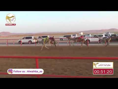 الشوط 7 الكايده لـ سيف سالم بن حمد الدرعي 2 11 64 شارة الصندوق 2023 05 07 فطامين الرقيعات 