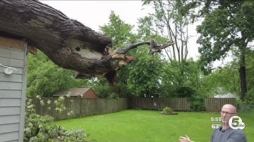 Residents begin storm cleanup after overnight wind damage