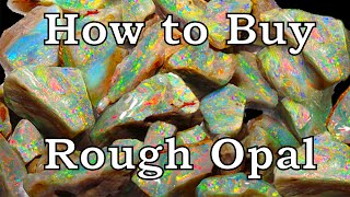Rough Opal Buying Guide