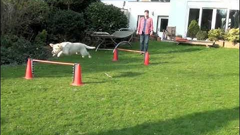 Build a chain using back-chaining