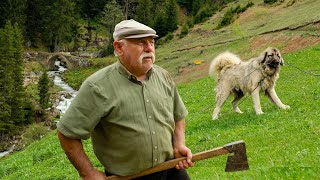 Küçük Ağanın Yayla Göçü Belgesel Film