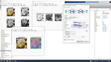 Machine Learning Algorithm Development for detection of Mango infected by Anthracnose Disease