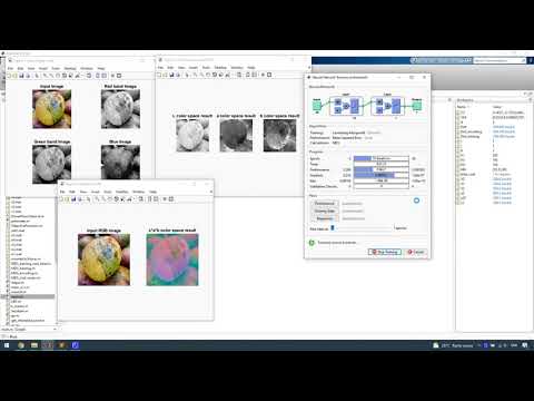 Machine Learning Algorithm Development for detection of Mango infected by Anthracnose Disease