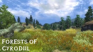Forests of Cyrodiil | Oblivion Music and Ambience | Relax - Study - Sleep