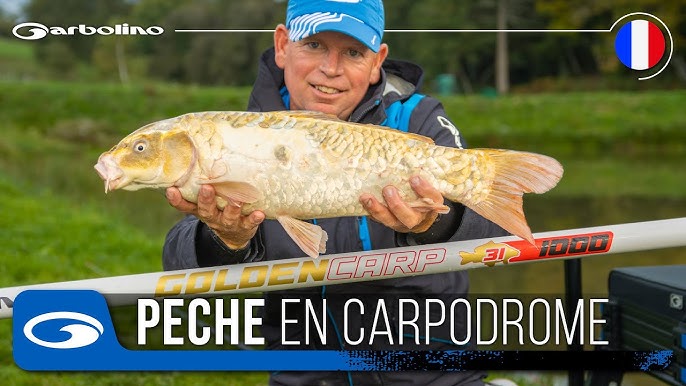 Matériel pêche carpodrome en bordure: quel flotteur choisir ? - Garbolino