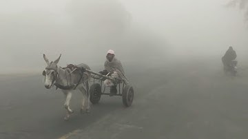 Understanding the Science Behind Fog Formation
