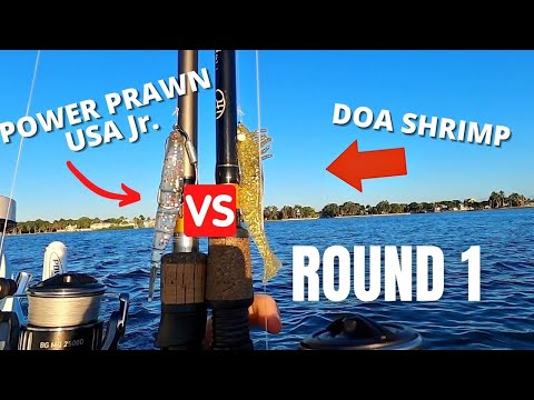 DOA Shrimp vs Power Prawn USA Jr. [Round 1] 