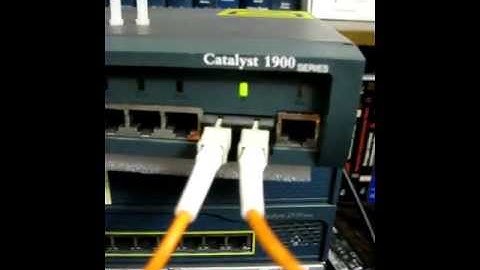 SC Fiber Optic Loopback cable