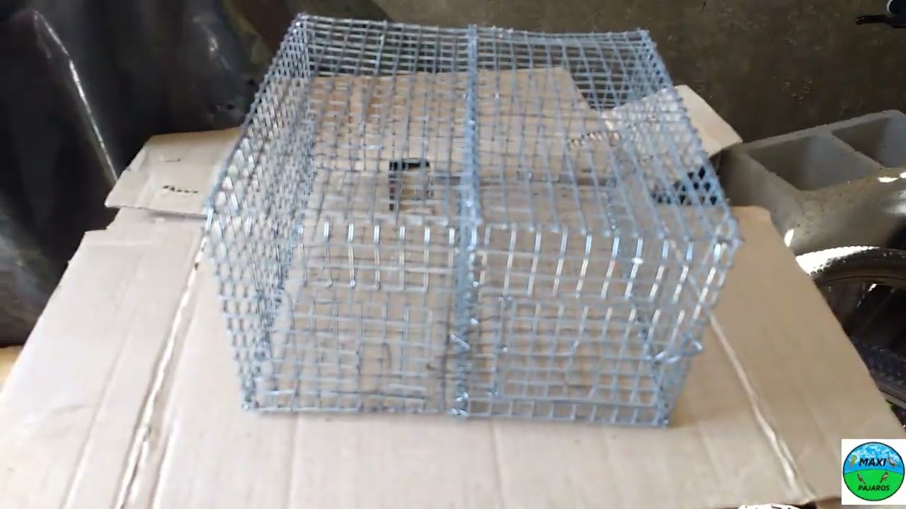 mostrando mis pájaros y jaulas 2022 espero que les guste 👍. Un 👋 SUSCRIBETE