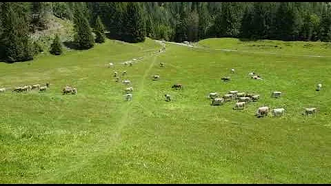 Kunkelpass Alm
