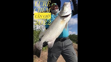 Câu Cá Biển – LURE CHẼM CẦN GIỜ - Câu Lure - Barramundi Fishing - Alo Fishing