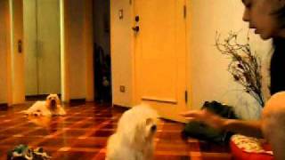 SAM_1091.AVI