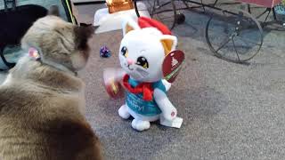Cat's Reaction To An Animated Christmas Cat by Kilala Marie Noel 4,178 views 3 years ago 43 seconds