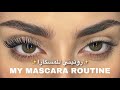 كيف بخلي رموشي طويلة و مقلوبة؟ | How I keep my lashes so long and curled? | رغد حمزة