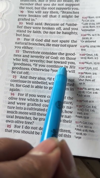 Romans 11 22 CSV Calvinist Standard Version YouTube romans-11-22-csv-calvinist-standard-version-youtube