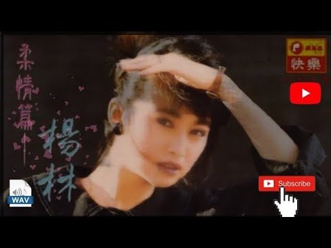 別在窗前等我 楊林（非官方MV）