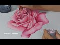 Como Pintar Rosa Realista. Pintura em Tecido. Luciana Dalponte