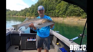 Striper Fishing Lake Cumberland Kentucky - LIMIT OUT ON HUGE FISH!!!