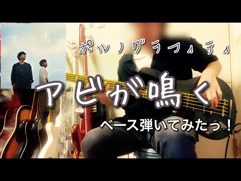 ポルノグラフィティ『アビが鳴く』ベース弾いてみたっ！