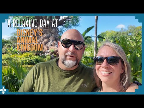 A Chill Day with Animals at Animal Kingdom