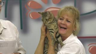 FREE Kittens to Great Homes Happy Tails 280