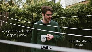 Video thumbnail of "Slaughter Beach, Dog - Shapes I Know"