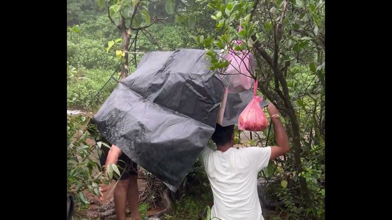 Jungle Campaign | Save Forest Save Future 🌍🌿in amboli 