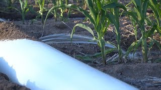 A Battle Over Water Rights Pits Urban vs Rural in Kansas