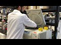 NIAID B-roll: Novel Coronavirus Vaccine Research
