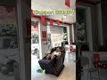 GHẾ MASSAGE KINGSPORT G80 NEW