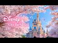 [study with me] dreamy disney orchestral bgm for focus &amp; study 🌸 bright springtime at disneyland ✨🏰