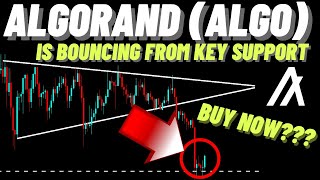 Algorand (ALGO) Is Bouncing From Key Support Should We Buy Now???