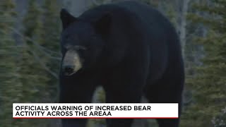 Officials on-alert for bear encounters following CT attack