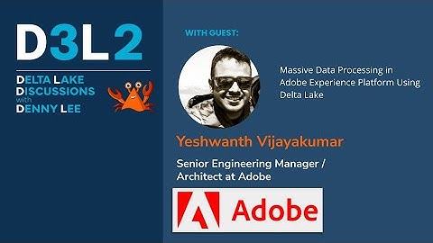 D3L2: Massive Data Processing in Adobe Experience Platform Using Delta Lake