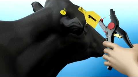 The New Z2 No-Tear Tagging System