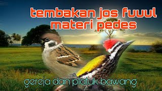 Fuuul tembakan jooos dan panjang 🔥🔥