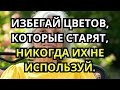 Выглядеть на 10 лет МОЛОДЕЕ! Цвета ОМОЛЯЖИВАЮЩИЕ после 50   Глубина Души 480p, h264, youtube